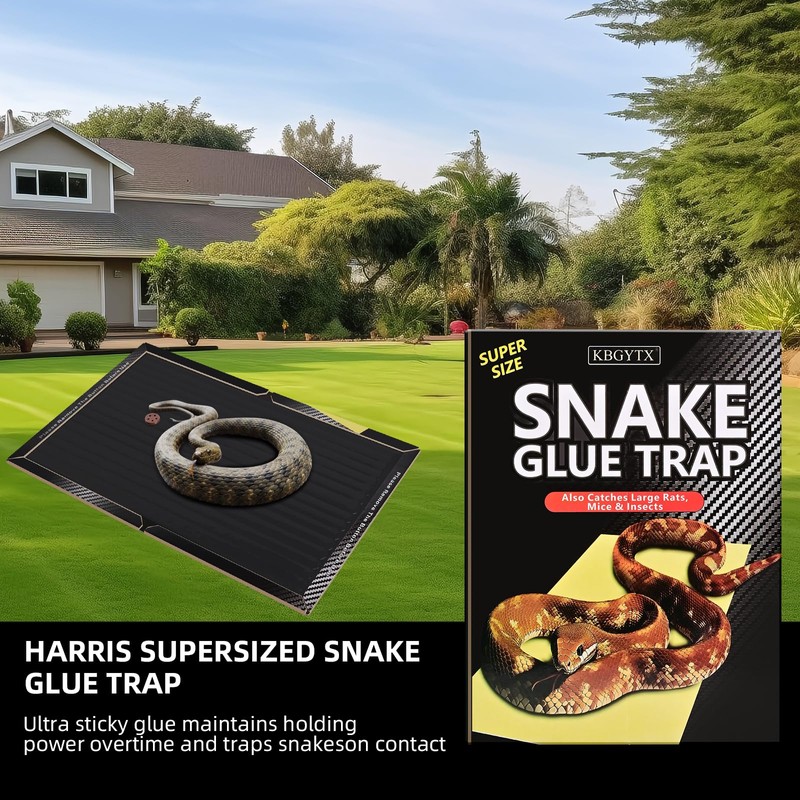 4 Pack 10" x 16" Large Snake Glue Traps with