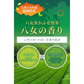 Haruyoshi Tea Garden Yamecha Japanese Tea Sencha Tea Leaves 【 Special Deep Steamed Kabusecha Green Tea Strong Roasting "Yame no Kaori" 80g / Fukuoka Yame-grown Yabukita & Sae Midori Varieties 】 Deep