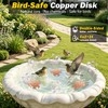 Bird Bath Copper Disk, 3Pcs 99.99% Pure Copper Bird Bath
