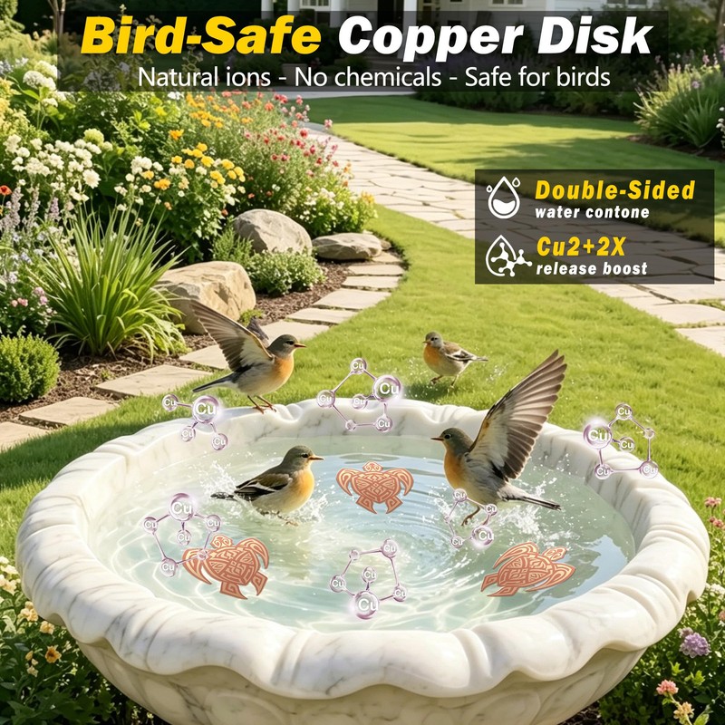 Bird Bath Copper Disk, 3Pcs 99.99% Pure Copper Bird Bath