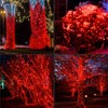 LAMPHOME 50LED String Lights,LED Christmas Lights,6" SPACING,Green Wire,RED Colour,Commercial Grade