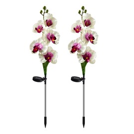 Solar Outdoor Garden Landscape Lights Simulate Luminous Phalaenopsis Insertion Lights Decorative Garden Lights