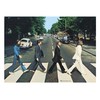 Paul Lamond Games The Beatles Abbey Road Puzzle (1000 Pieces)