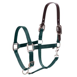 Equinavia Loki Adjustable Breakaway Horse Halter - Hunter Green - Horse