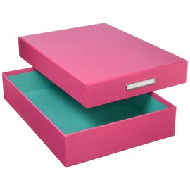 TAKEMEKI Tool Box, Inner Dimensions 9.4 x 13.2 x Height 2.6 inches (240 x 335 x 65 mm) (Pink/Jade Green), Storage Box, A4 Size, Clear File Can Hold