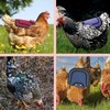 2 Pieces Premium Chicken Saddles with Stretchy Strap, Chicken Saddles