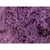 SuperMoss (25158) Reindeer Moss Preserved, Lavender, 8oz Bag