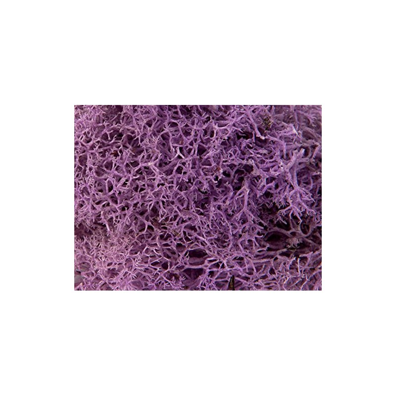 SuperMoss (25158) Reindeer Moss Preserved, Lavender, 8oz Bag