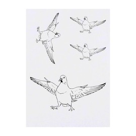 4 x 'Pigeon with Attitude' Temporary Tattoos - Water Resistant, Skin-Safe, Non-Toxic Transfers, Mixed Sizes (TO00074872)