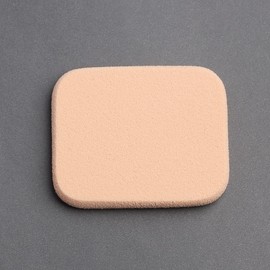 EAS Square Makeup Sponge 10-piece Set 2ea