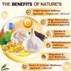 Pyrrolift Aged Garlic Extract - 1530mg with Vitamin D, Zinc,