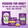 Stella & Chewy's Meowfulls Freeze Dried Cat Treats Chicken &