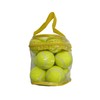 LLB SPORTS 12 Hard Tennis Balls with Bag