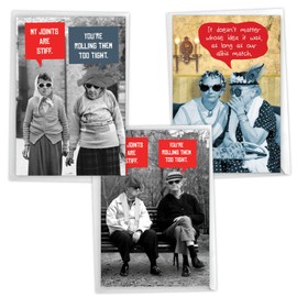 NobleWorks Assorted 3 Pack of Hysterical Retro Birthday Greeting Cards with 5 x 7 Inch Envelopes (3 Designs, 1 Each) Naughty Seniors VC9269BDG-C1x3