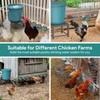Complete Set Automatic Chicken Waterer System for Continuous Fresh Water,