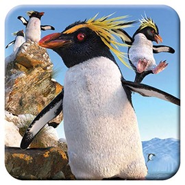 3D LiveLife Cork Coaster - Rockhoppers from Deluxebase. Lenticular 3D Penguin Coaster. Non-Slip Table Coasters Featuring Original Artwork by David Penfound. Ideal for Home Decor.