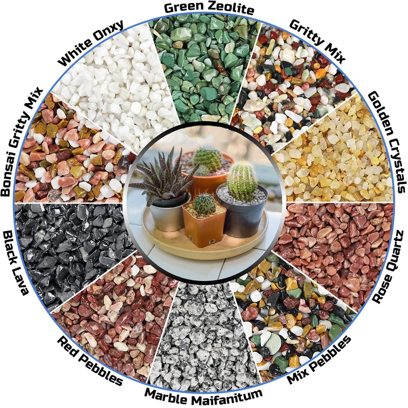 2LBS Horticultural Succulent Rocks Bonsai Mix Succulent Potting Mix Lava