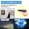 SIGHTRON JAPAN SAFARI Monocular, 0.3-1.0 x 1.0 inches (8-25 x