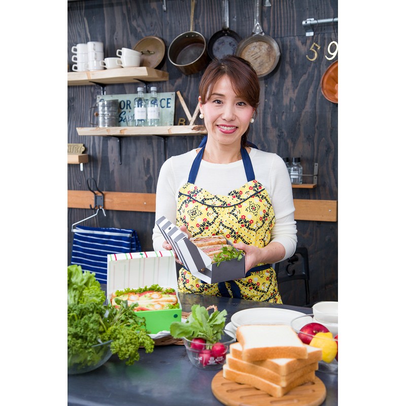 Hosho Pane Pacco Sandwich Case