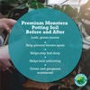 Premium Monstera Potting Soil | Quick Draining, Nutrient Rich Living