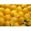 Generic Lemon Tree Seeds (Citrus Limon) (20 Seeds), Yellow