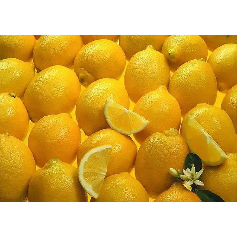 Generic Lemon Tree Seeds (Citrus Limon) (20 Seeds), Yellow