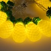 9.8ft 20LEDs Fruit String Lights Battery Operated String Lights for