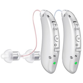 Behind-the-ear hearing aid for Seniors, hearing loss compensation amplifiers for adults, rechargeable noise reduction hearing aids (Silver)