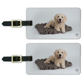 Golden Retriever Puppy Dog Blanket Luggage ID Tags Cards Set of 2