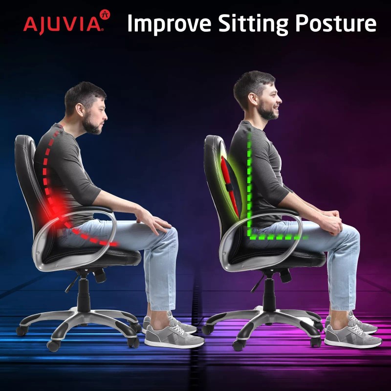 AJUVIA Back Vitalizer - Car Lumbar Support for Driving Seat