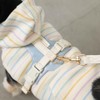 Monchéri (PU Leather Tape Harness + Lead Set) Dog Harness,