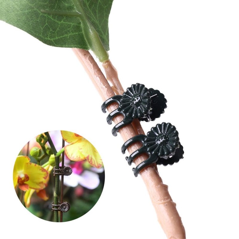 Kopida 50Pcs Plant Climbing Wall Fixture Clips, Plant Fixer Invisible