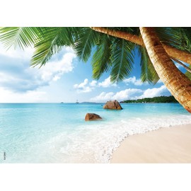 BEDUKE Jigsaw Puzzles 1000 Piece - Every Piece is Unique - for Adults Sturdy Thick Cardboard Puzzle Coastal Beach Precise Interlocking Family Game Age 14+