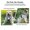 Petmolico No Pull Dog Harness and Leash Set, No Choke