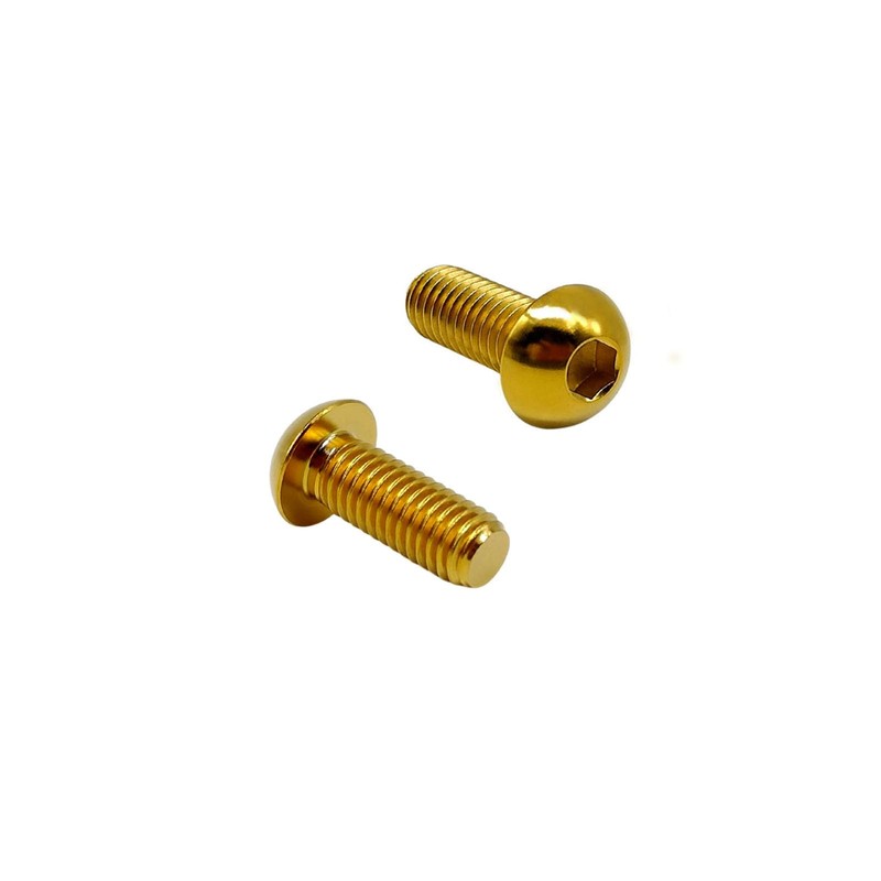 RISON Pack of 5 Titanium Rounded Head Screws with Hexagon
