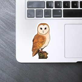 Medium 100mm 'Perched Barn Owl' Permanent Sticker Decal for Cars/Windows/Bins/Walls etc (DW00119713)