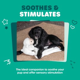 Webbox Layla the Cuddle Lamb - Soft Blanket Puppy & Dog Toy for Separation Anxiety