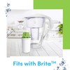 DAFI Alkaline Water Filter for Water Pitcher Replacement Compatible with