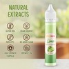 HONEYBERRY Natural Lime Extract 30ml – Professional-Grade Highly Concentrated Flavouring