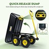 RIDALIYA Garden Dump Cart, Heavy-Duty Utility Wagon with 600 lb