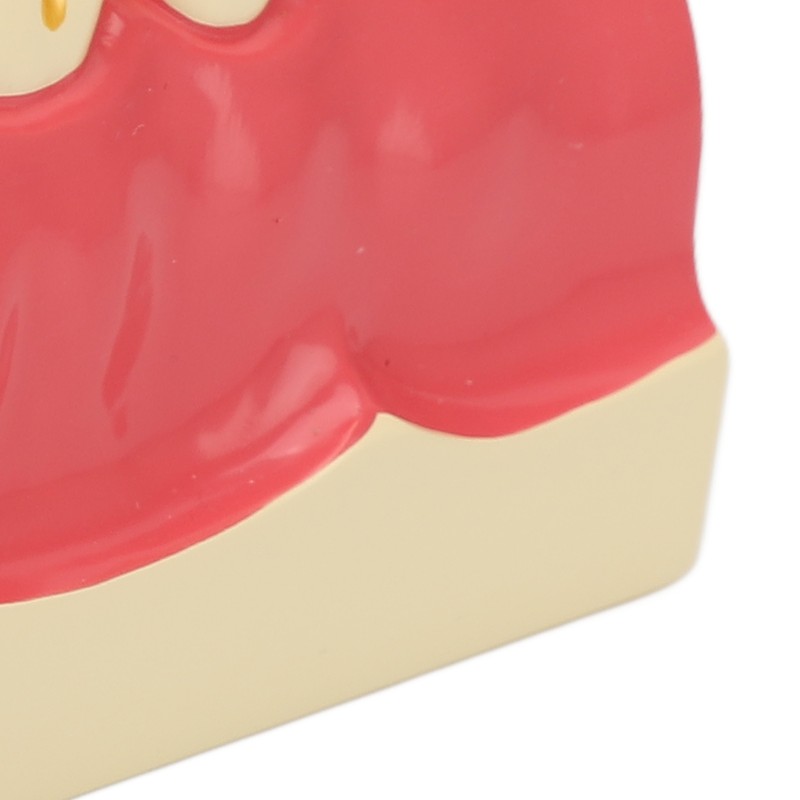 Right Lower Posterior Tooth Model 2X Magnification Detachable Resin Tooth