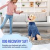Lukovee Recovery Suit for Dogs - Soft Onesie Dog Surgery