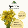 Lemuria - Iperico E.T. - Per il Tono dell’Umore e