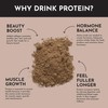 JUST INGREDIENTS Coconut Chocolate Protein Powder – 30-Serving Blend with