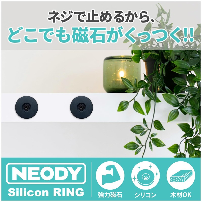 NEODY SR-0104-B Strong Neodymium Magnets with Screws for Perforated Magnets