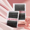 EYEVIS Lash Clusters Wispy 280PCS Eyelash Clusters 60D 80D Lashes
