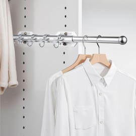 LOMILD 12" Valet Rod for Closet Pull Out with 4 Dragonfly-shaped Hooks, Silver