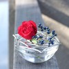 [Nousaku Red Cotton Ribbon Wrapping with Washi] KAGO - Rose