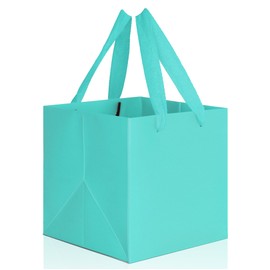 IN-JOOYAA Teal Blue Square Gift Bags 12 in Large Paper Bags Party Favor Bags with Rope Handle 2 Pcs (12 x 12 x 12 in, Teal Blue)