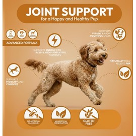 Healthy Dog Treat, Soft Training chew, Support Hip and Joint Health with Glucosamine, Chondroitin Sulfate & MSM, Mobility, Cartilage & Joint Stiffness Relief Supplement, 100 Count